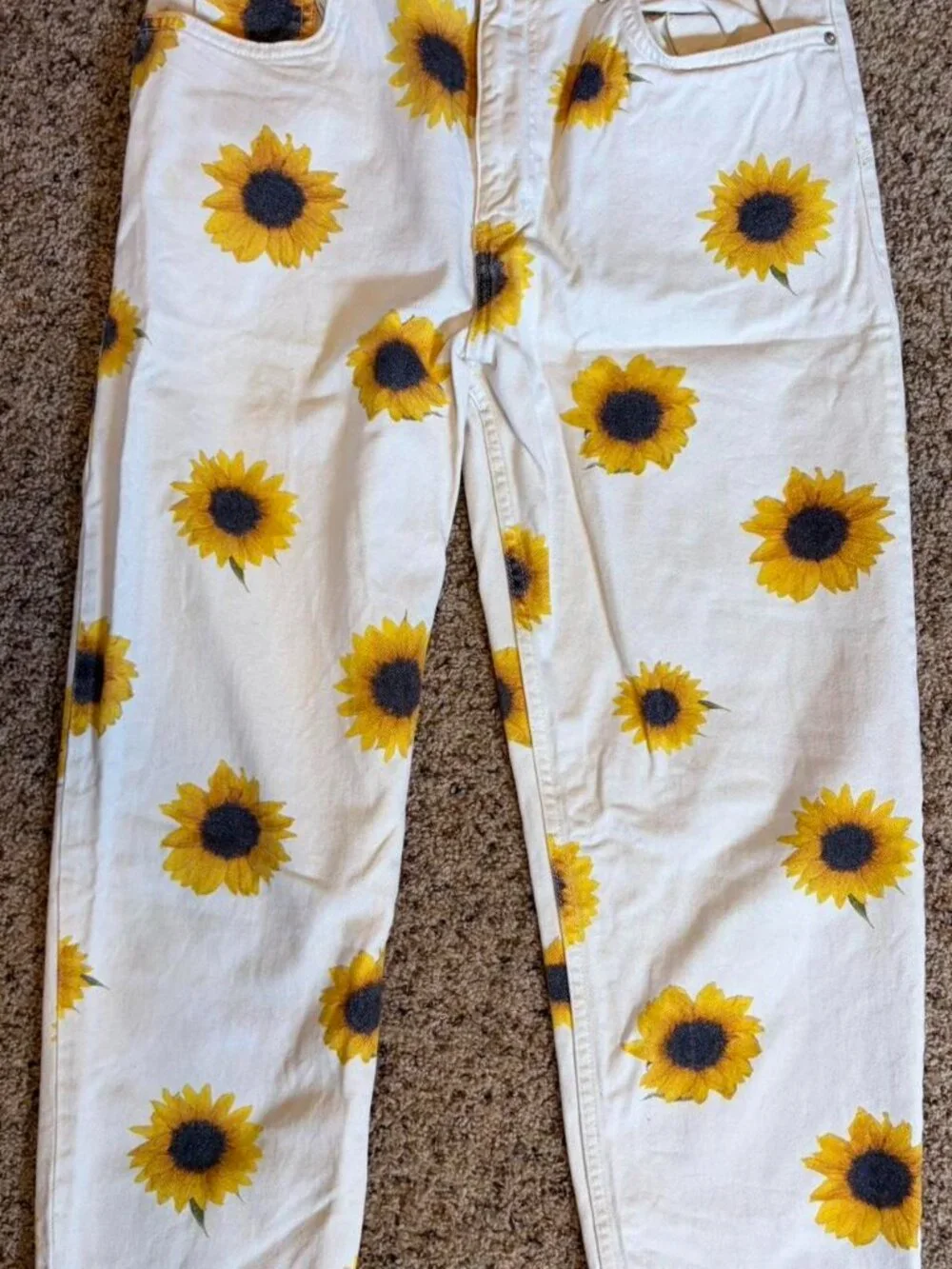 Men's BDG Sunflower Print Pants